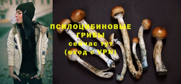 круглые Алексин