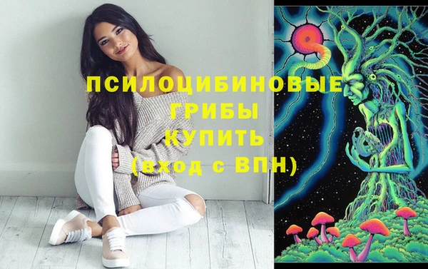 СК Алзамай